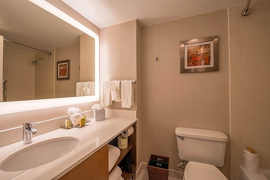 The Brookhaven Atlanta Hotel – Atlanta, GA