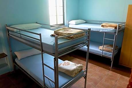 Bunk Bed in Mixed Dormitory Room