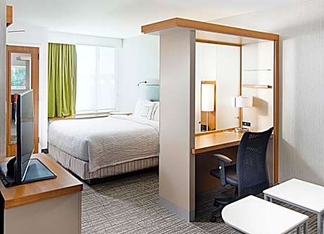 Studio, 1 King Bed with Sofa bed (Mobility/Hearing Accessible, Tub)