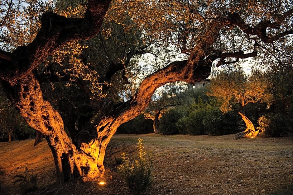 Casale delle Lavande