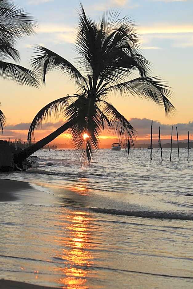 Pousada Das Roseiras