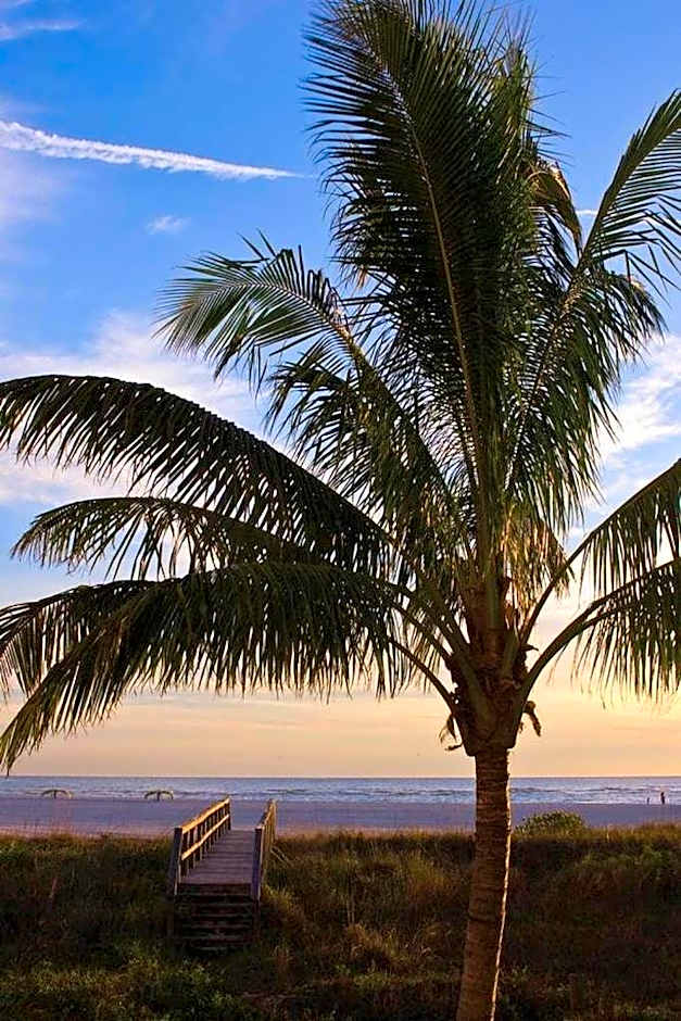 Residence Inn by Marriott St. Petersburg Treasure Island