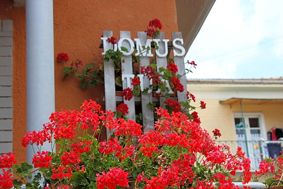 Domus Tua
