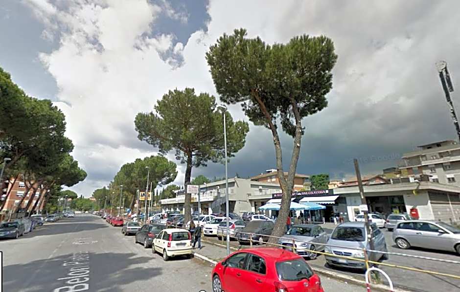 Belon B&B poli casilino