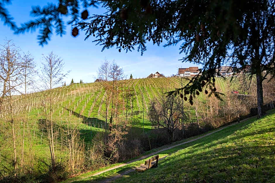 living TIMELESS - Adler Apartments Sasbachwalden