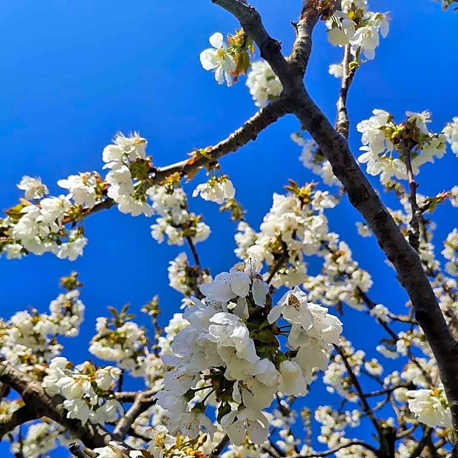Cascina Valtignosa Camere Con Vigna