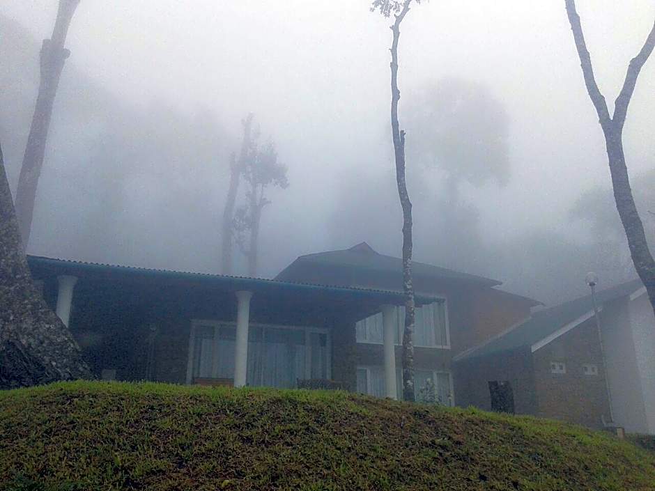 Neelakurunji Plantation Munnar