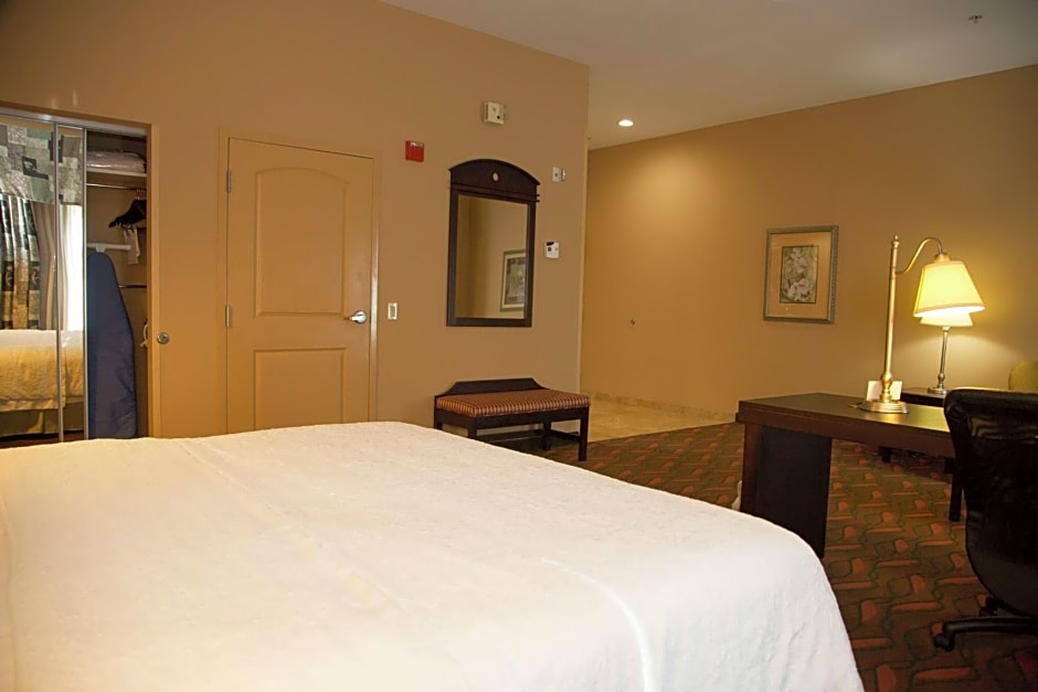 Hampton Inn By Hilton & Suites Houston - Rosenberg