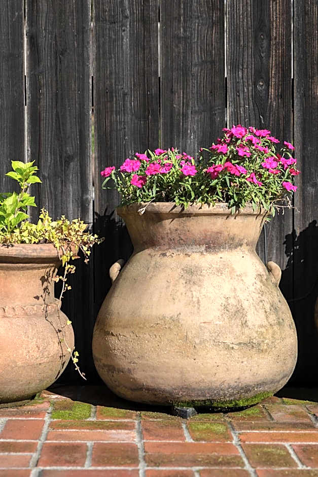 Lavender, A Four Sisters Inn