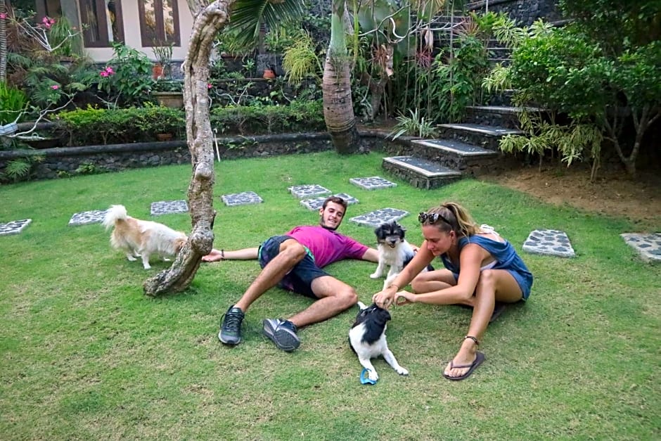 Home-Bience Hostel