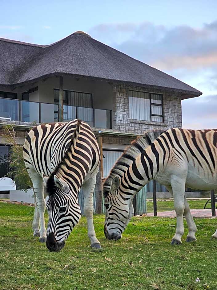 Garden Route Safari Camp