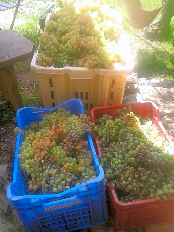 La Fattoria di Nonna Eugenia