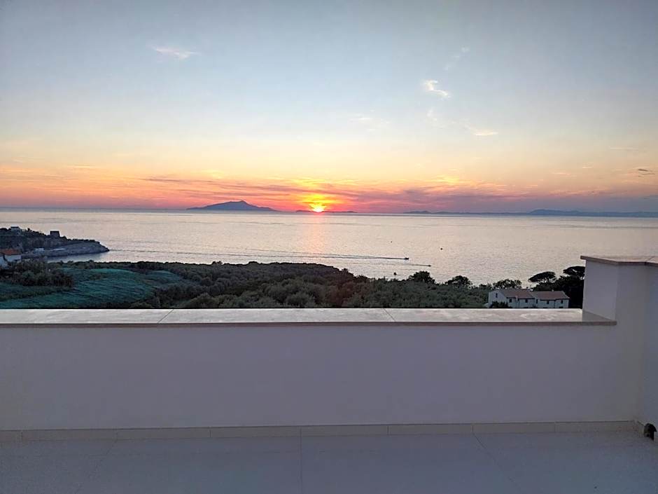 Hotel Dania