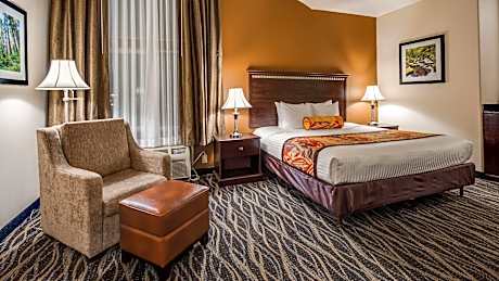 King Suite with Sofa Bed and Wet Bar