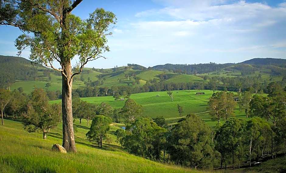 Riverwood Downs Of Barrington Tops