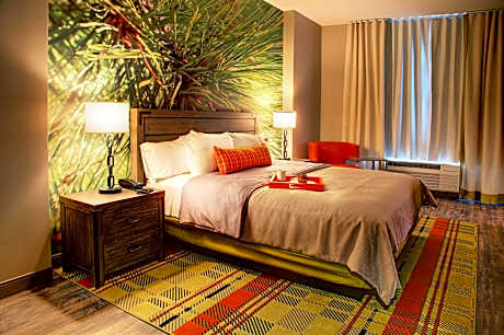 1 King Bed Standard Communication Non-Smoking  accessible Tub