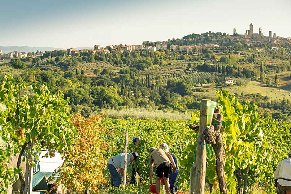 Agriturismo Il Casolare Di Bucciano