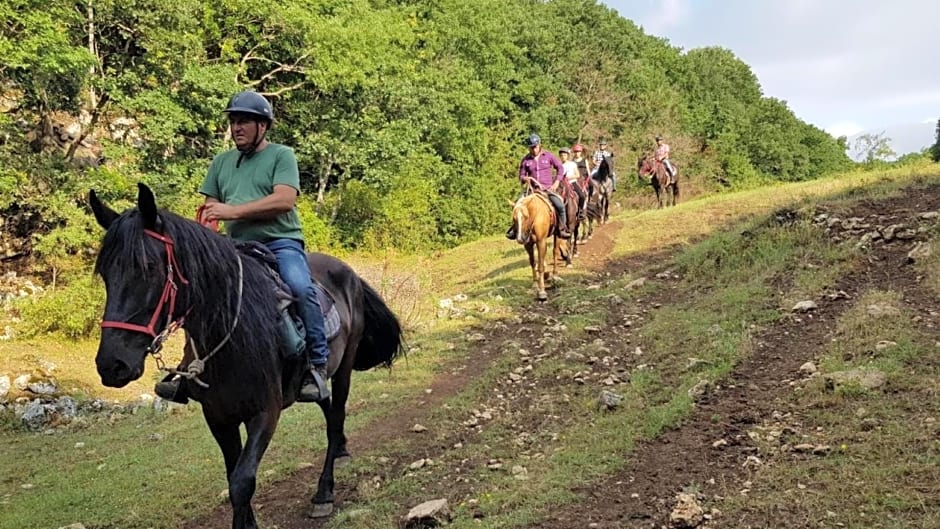 B&B Home Sweet Home - Affitti Brevi Italia