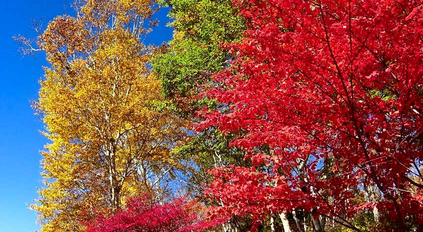 Club Wyndham Shirakabaso Shigakogen