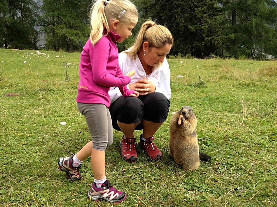 Hotel Bischofsmütze