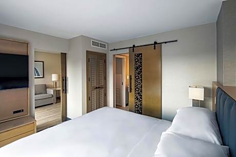 Suite, 1 King, Sofa bed