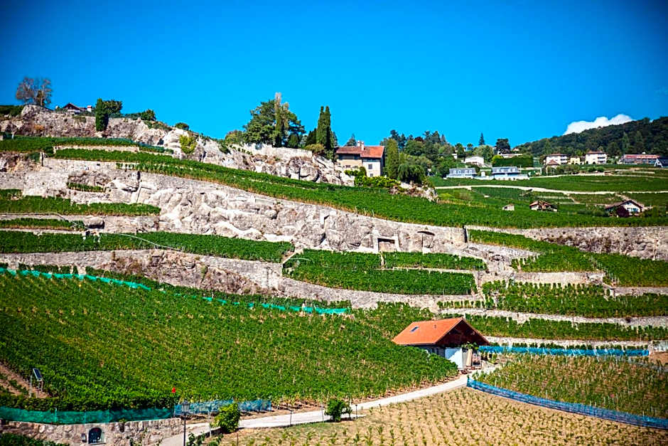 Auberge de Rivaz