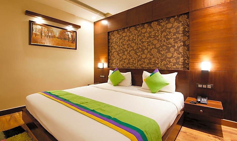 Treebo Punjabi Nature Residency, Near Faridabad Railway Station