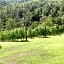 B&B La Provenzale