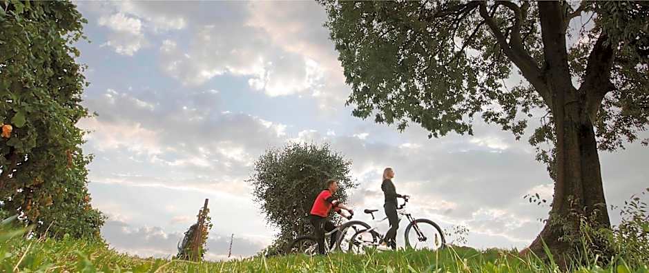 Agriturismo B&B Casa Bortolin