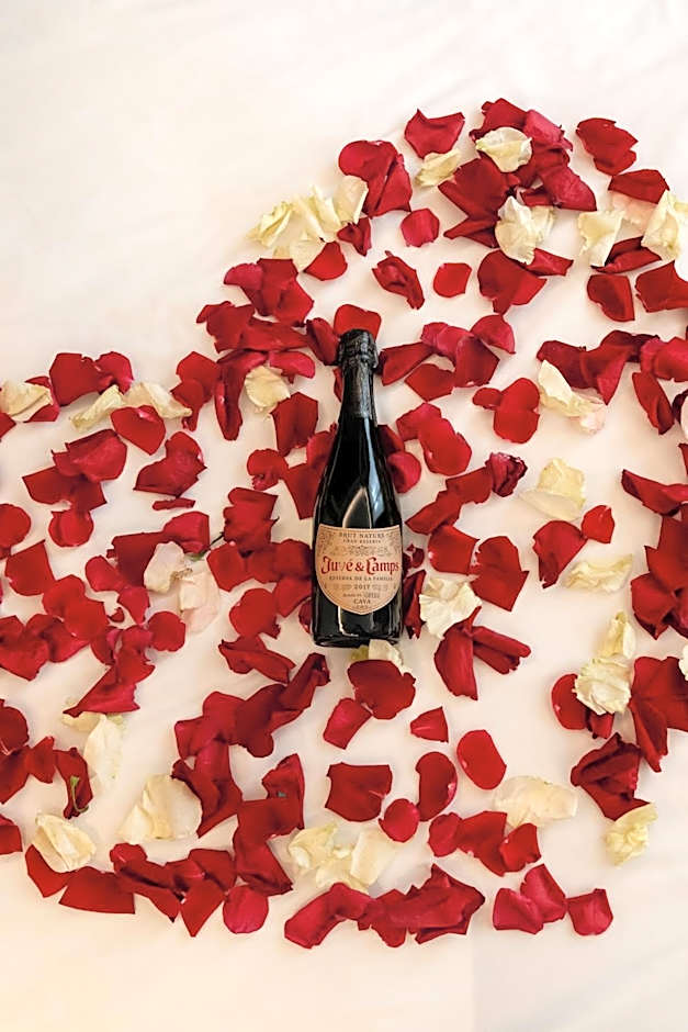 Maldà Singular Hotel