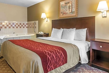 1 King Bed, Suite, Nonsmoking