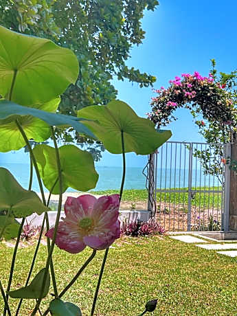 Smell rose beach garden花语海沙滩花园