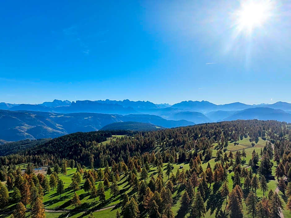 Pension Schlaneiderhof