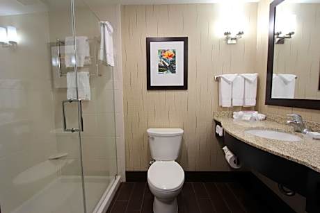 1 King Junior Suite Hearing Accessible