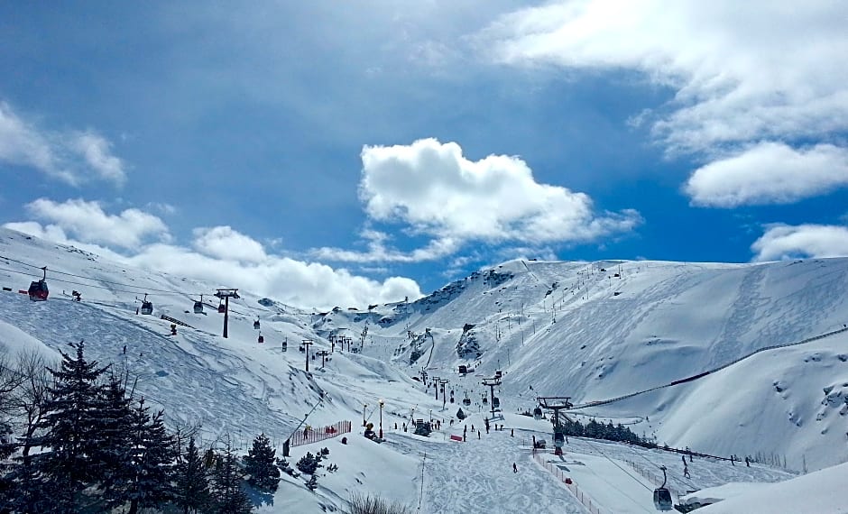 Sierra Nevada 3000 Apartamentos zona media alta