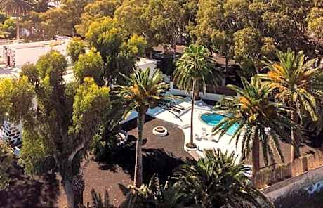 Studio with Garden View