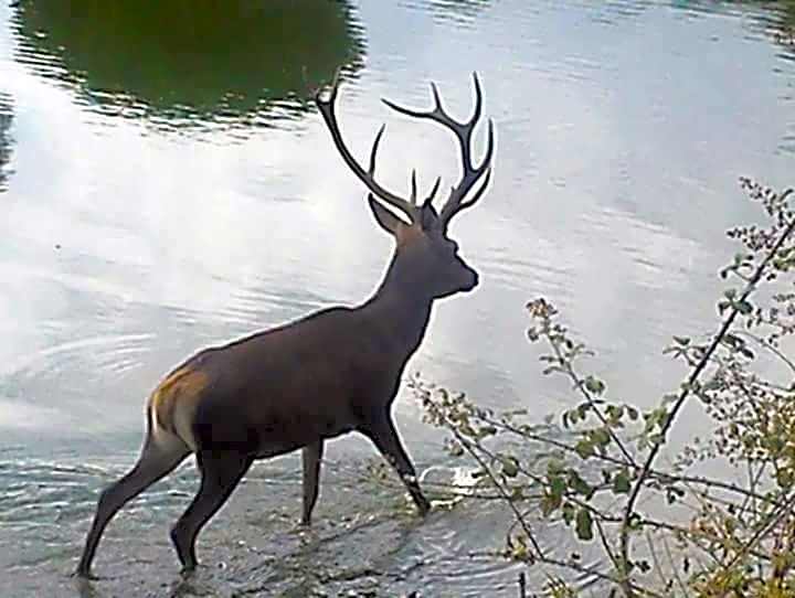 Hotel Palacio Guzmanes