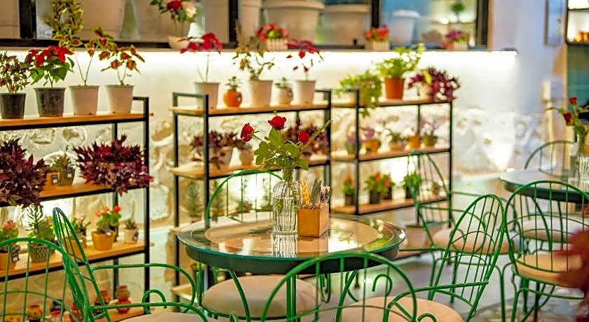 Hotel Shervani Hilltop