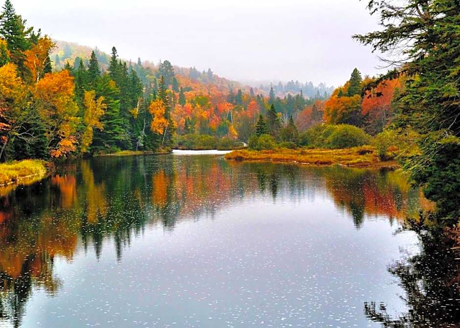 Blue Spruce Bed and Breakfast Muskoka