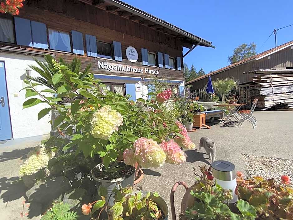 Nagelfluhhaus Hirsch