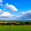 Lilly's Lodges Orkney Hedgehog Lodge