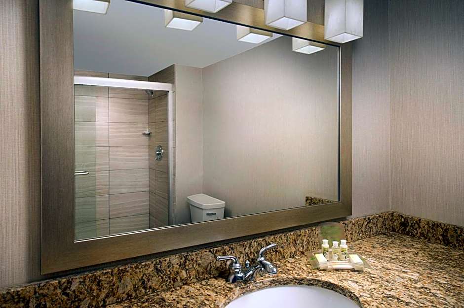Holiday Inn El Paso Airport By IHG