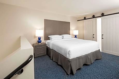 Deluxe Loft King Suite