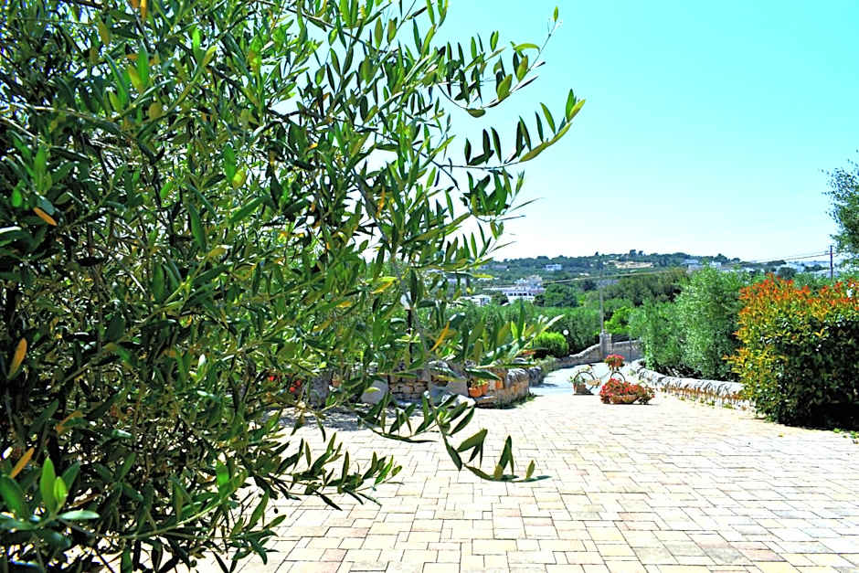 La Rosa dei Trulli B&B