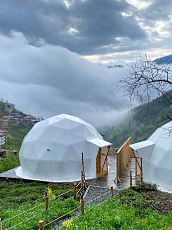 King Room with Mountain View