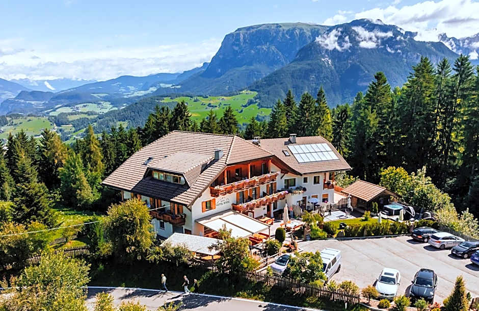Hotel Wiesl