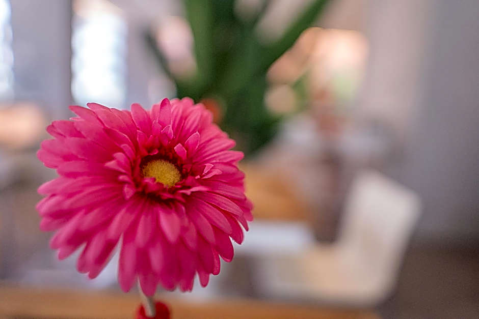 Design Hotel Astra B&B