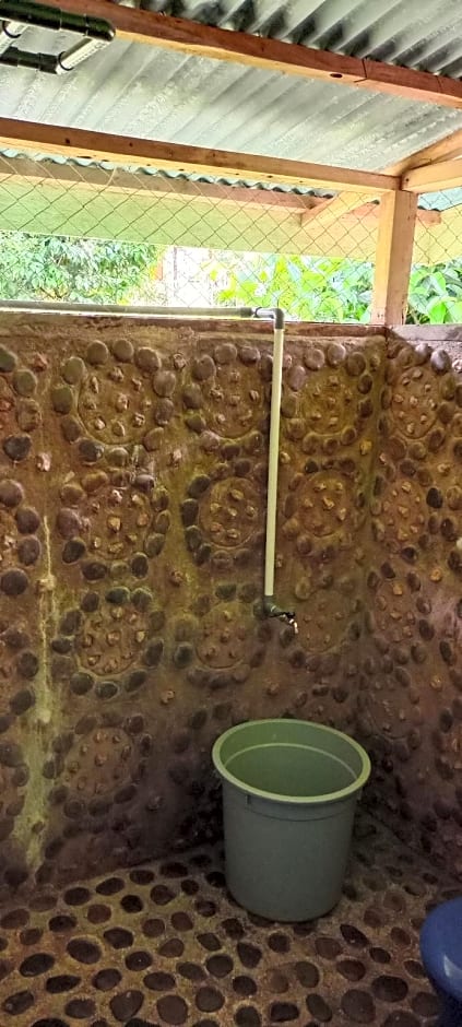 Green lodge tangkahan 