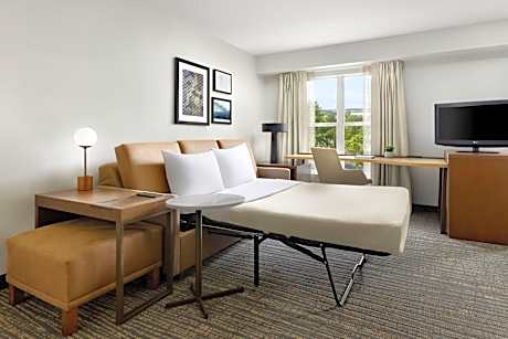 One-Bedroom Queen Suite with Sofa Bed