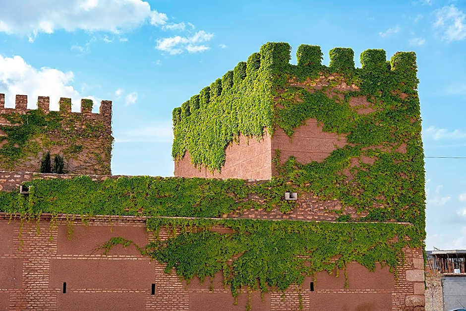 Castillo De Pilas Bonas